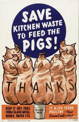 save the kitchen waste to feed the poster with pids lined up