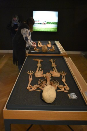Two iron age skeletons (found buried in a grave together) with an image of the section of the A1 where they were found.