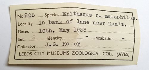 Black label with black writting. You can read: No.208, species: Erithacus r. melophilus, locality: in bank of lane near Dan's, dates: 10th May 1925, set: 5, collector: J.G. Roper, Leeds City Museums Zoological collection.