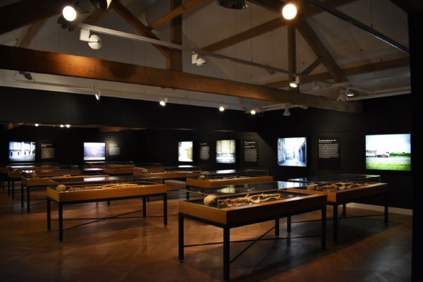 Photograph of the display space of Skeletons: Our Buried Bodies, Leeds City Museum, 2017
