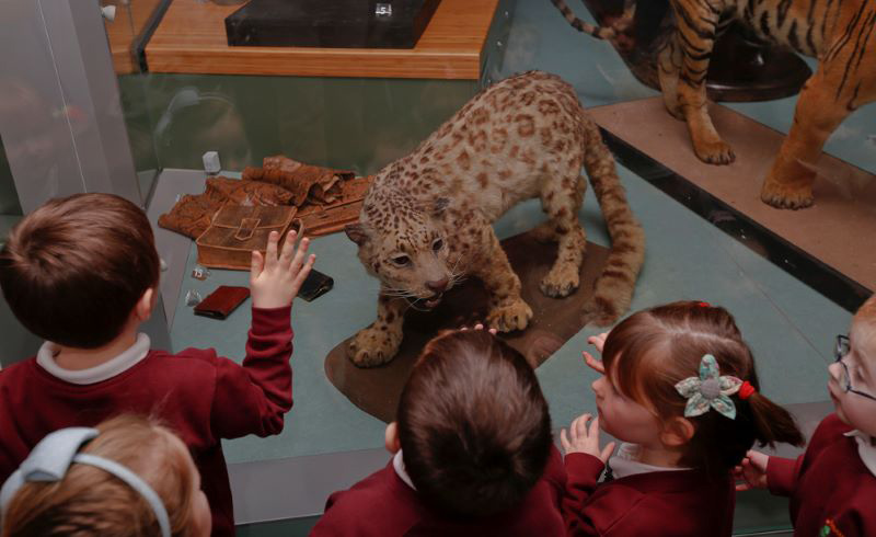 Group of 5 students wearing a burgundy uniform at Leeds City Museum. They are all looking to animals in our taxidermy collection on display at the museum.