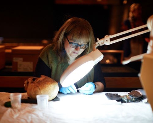 Rebecca Lang from the Museum of London looking at some loose teeth at Leeds City Museum. She is working at a desk over a white table cloth. There is a few instruments on the table. She is working under a bright light. There is a skull next to her hands.