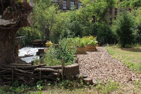 Growing for Colour: The Leeds Industrial Museum Gardens