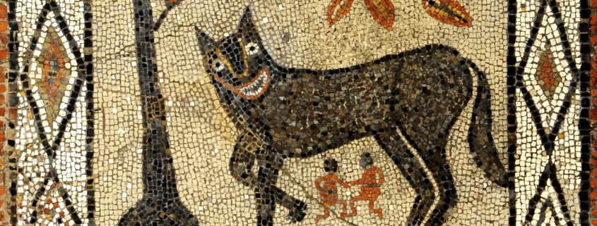 Details from the wolf and twins mosaic at Leeds City Museum showing a smiling wolf with twin babies