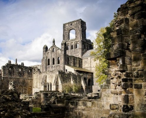 Mindfulness at the Abbey: The Cosmic Tree in Shamanism and Beyond at Kirkstall Abbey