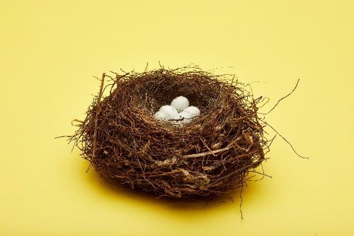 A birds nest with small blue eggs inside, on a yellow background.