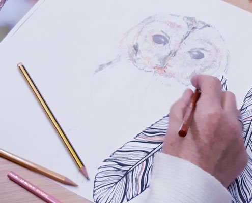 A person is drawing an owl.