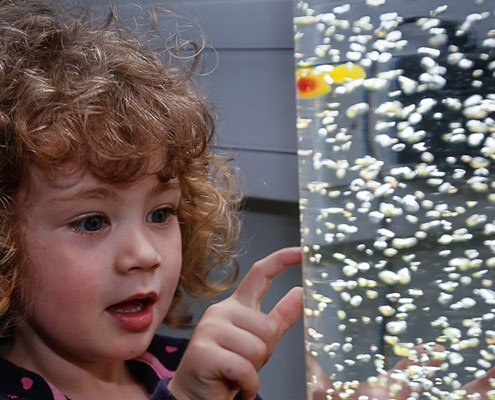 A young girl pointing at a bubble tube
