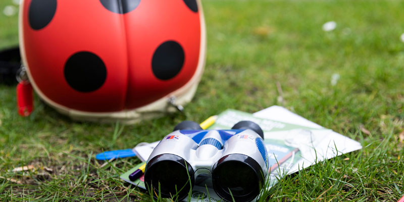 Childrens adventure pack including a ladybird inspired backpack, papers, pencil and binoculars laid out on the grass