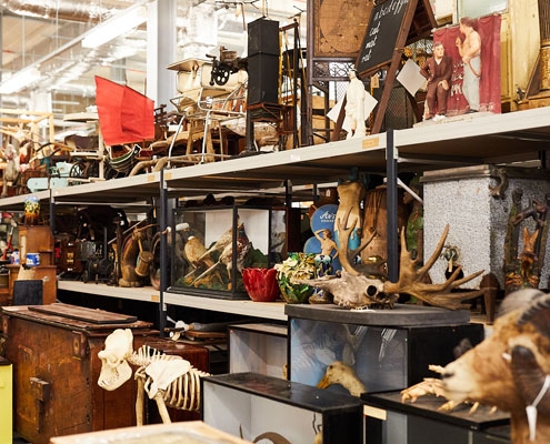 shelves stacked with objects in a bright museum storage facility