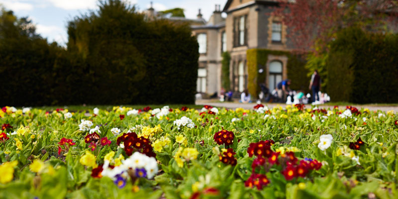 Spring flowers in front of an Edwardian house.