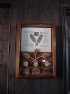 A display case of teazles in a museum