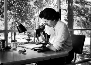 A black and white photograph of a woman looking into a microscope with a notebook next to her
