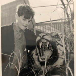 A young boy wearing school uniform is standing next to the taxidermy Leeds Tiger