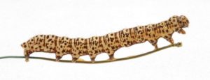 A taxidermy caterpillar