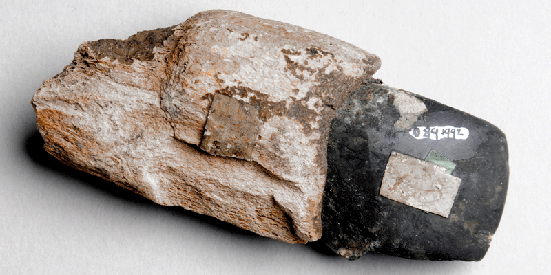 A small polished stone Neolithic axe in an antler socket