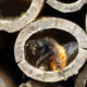 A close up of a bee in a bug hotel