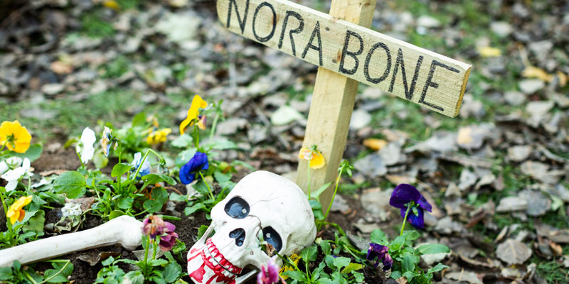 A skull and bone from a toy skeleton with agrave marker saying 'Nora Bone' on the ground of Lotherton estate.