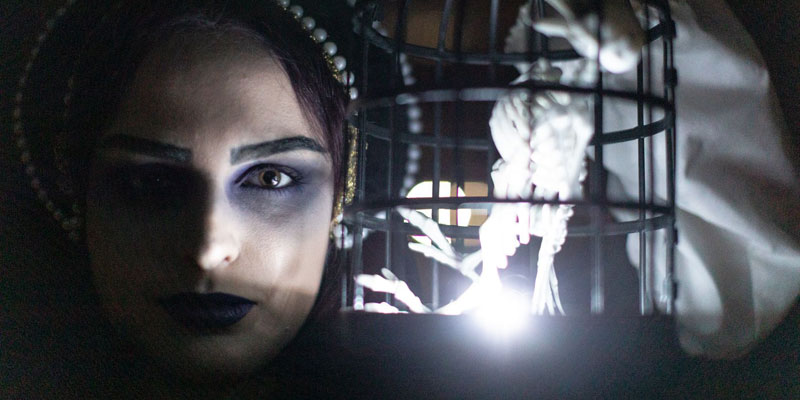 A woman is dressed in Halloween costume. The photograph is a close-up of her face in the dark with a light shining on it. She's holding up the skeleton of a bird in a cage.