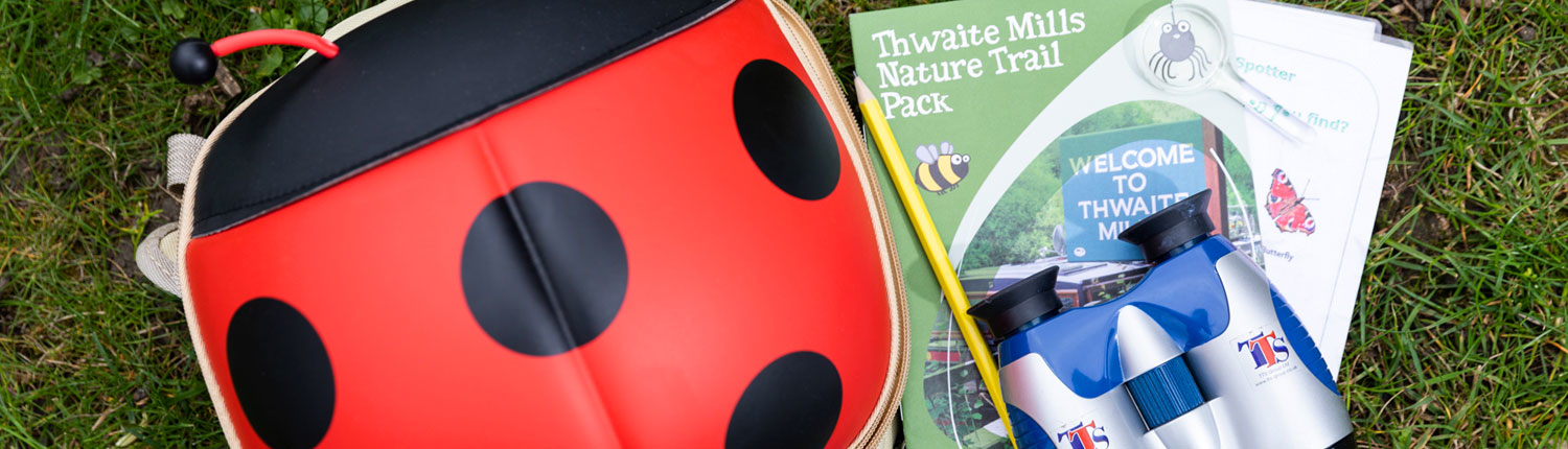 A craft pack shaped like a ladybird along with craft materials is laid out on the grass