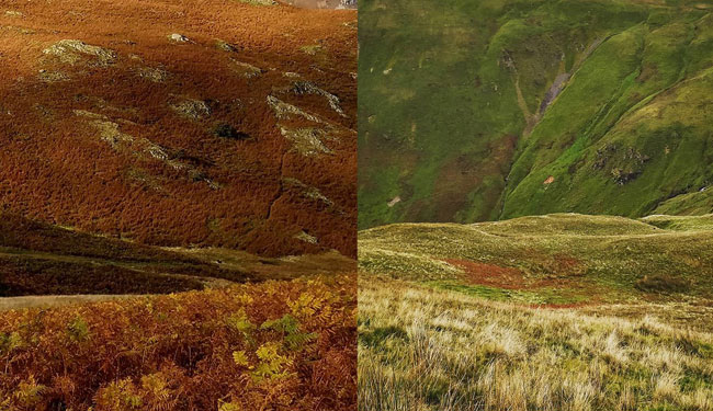 Two autumnal landscapes or hill scenes are placed side by side