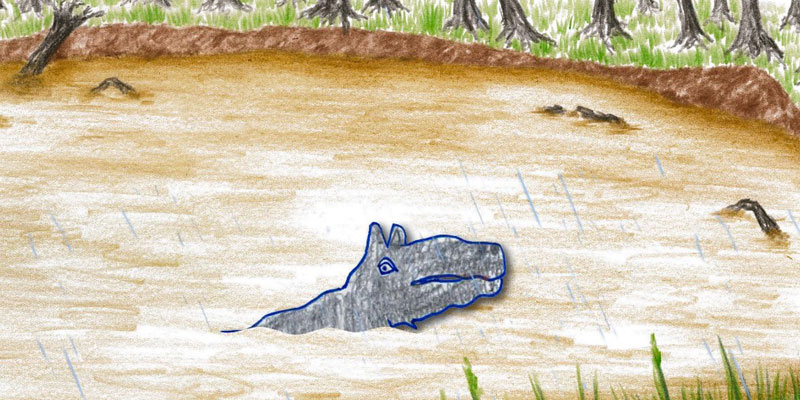 A drawing of a hippo in a mud bath