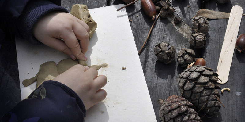 Natural crafts with pine cones