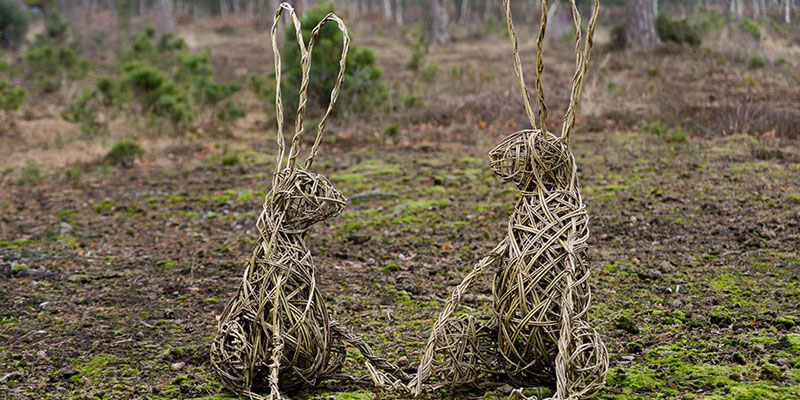 Hare sculptures made from weaved willow.
