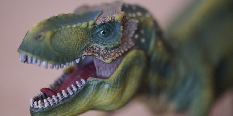 T-rex plastic toy