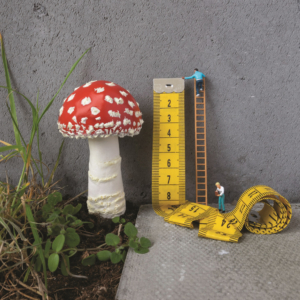 Some tiny plastic men are measuring a toadstool with a ladder.