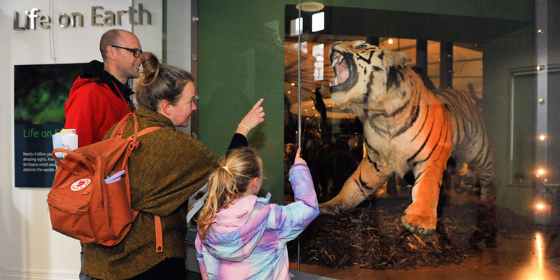 The Leeds Tiger and a family looking at the display