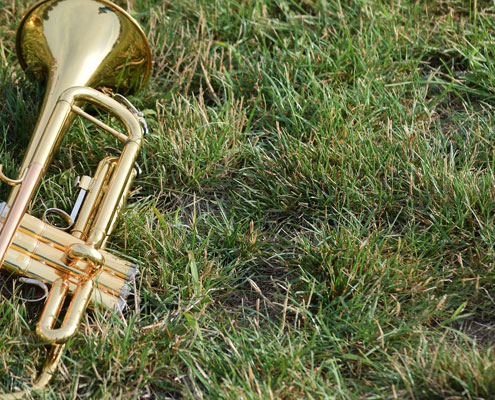 Brass instrument on grass