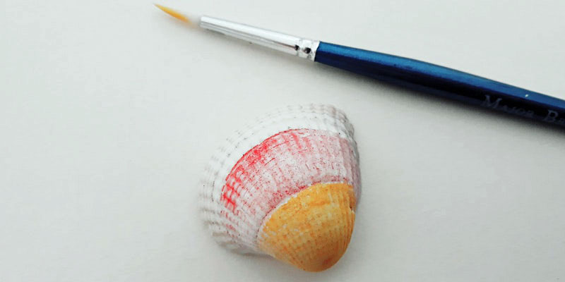 A shell and a paintbrush against an off white background