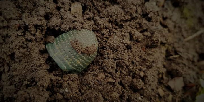 Thimble in the ground
