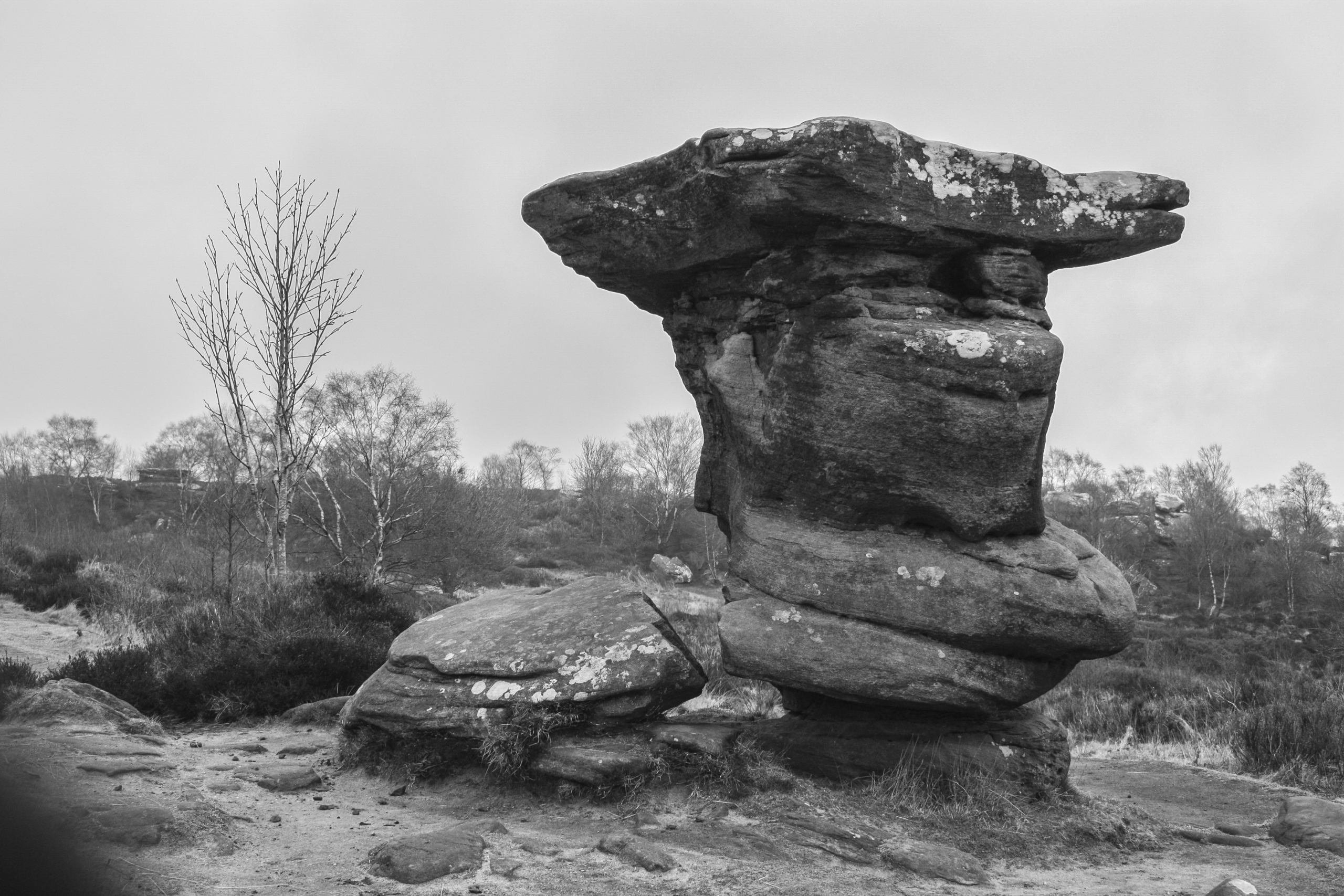 Rocks at Brimham