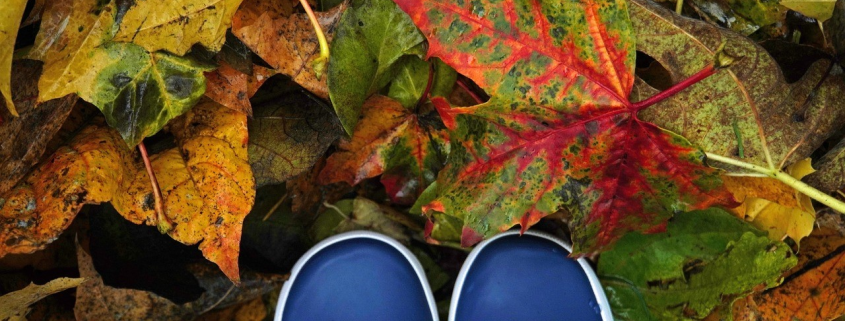 A pair of blue shoes standing on a pile of autumn leaves