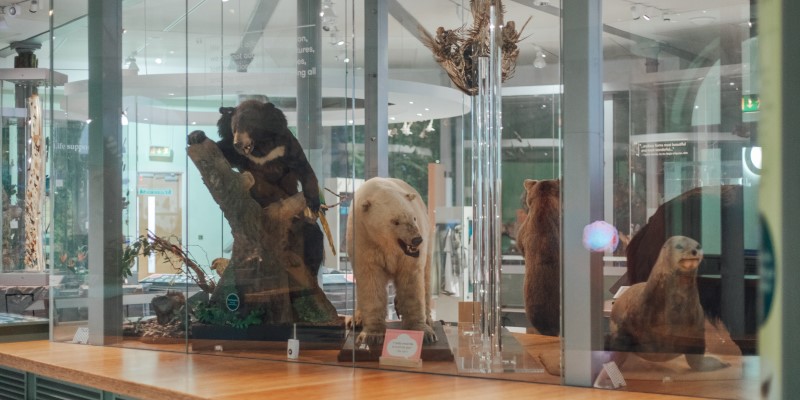 The Greener Museum: A Case Study For Sustainably Redisplaying A Museum Gallery