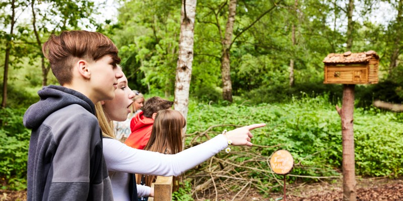 Two teenagers pointing at wildlife in the wood at Thwaite, with a bird box in the background