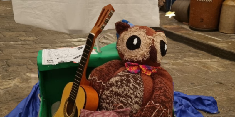 a cuddly toy owl with a guitar in a boat