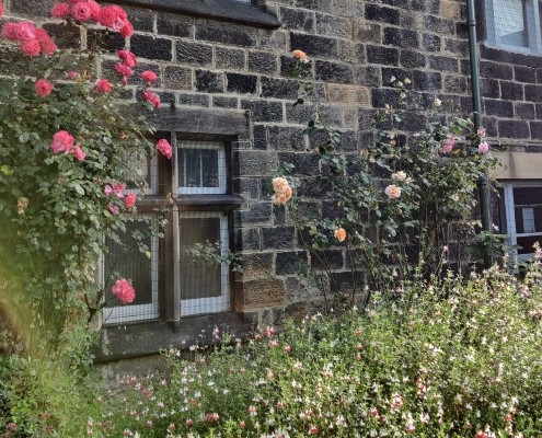 exterior of abbey house museum with pink and orange roses