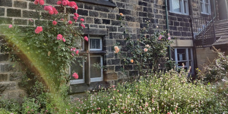exterior of abbey house museum with pink and orange roses