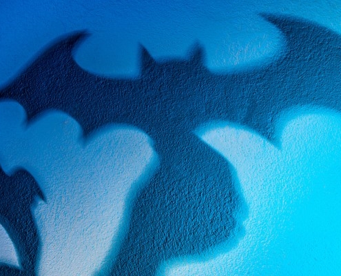 bat shaped shadows