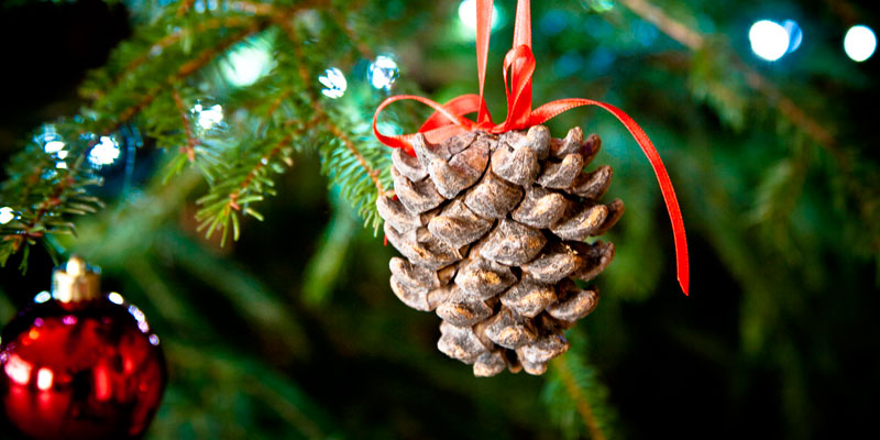 Pine cone decoration on a Christmas Tree