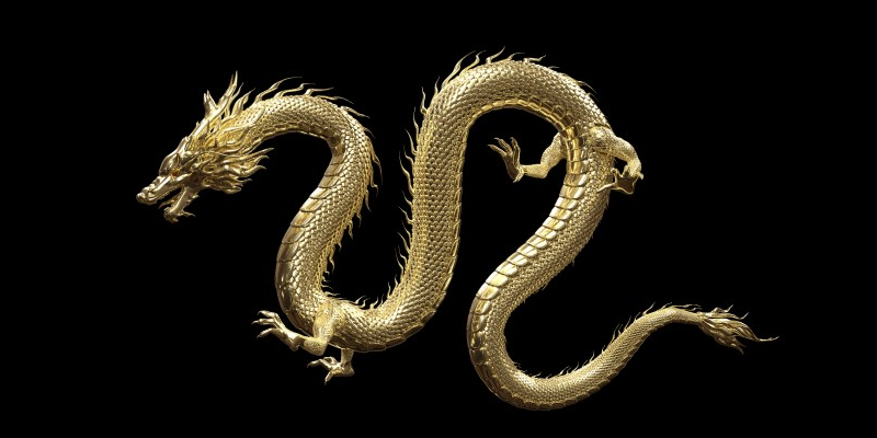 Gold chinese dragon on black backgorund