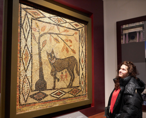 A person looking at the She-Wolf mosaic in the Ancient Worlds gallery at Leeds City Museum.