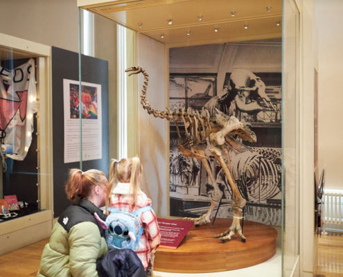 A woman and young girl looking at the skeleton of a heavy-footed Moa in the Collectors Cabinet gallery at Leeds City Museum.